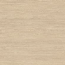 Elemental 1200mm Freestanding Single Vanity with Removable Kickboard